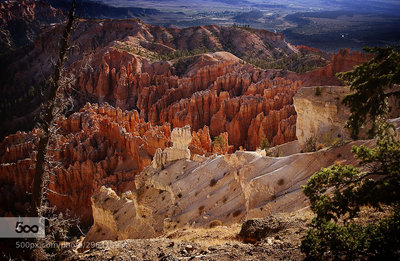 Bryce Canyon NP.
