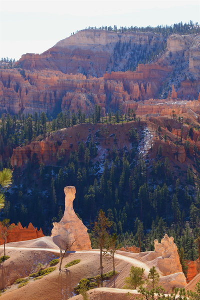 Navajo Loop Trail.