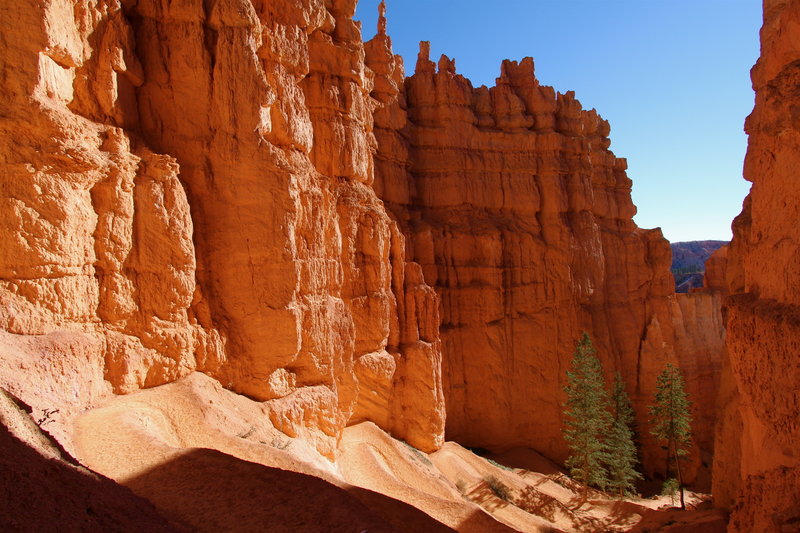 Orange pinnacles in mid-morning light