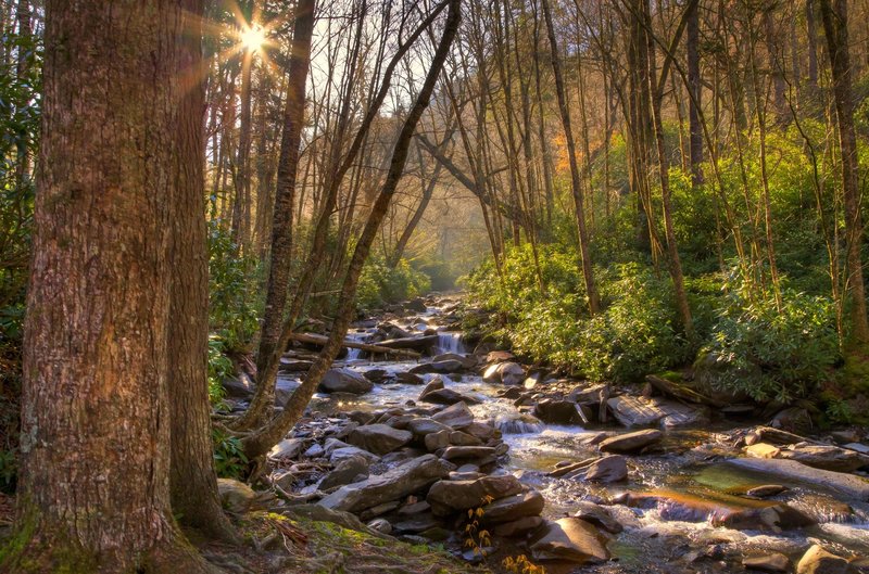 Stream in the Smoky Mtns.