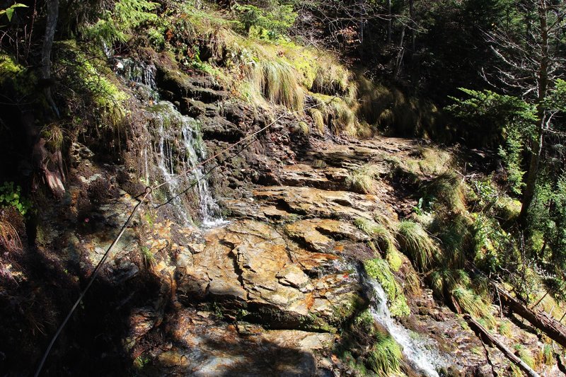 Watch your step... crossing the wet path