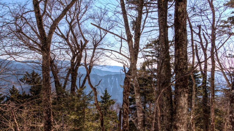 Peaking through the trees on Bullhead Trail.