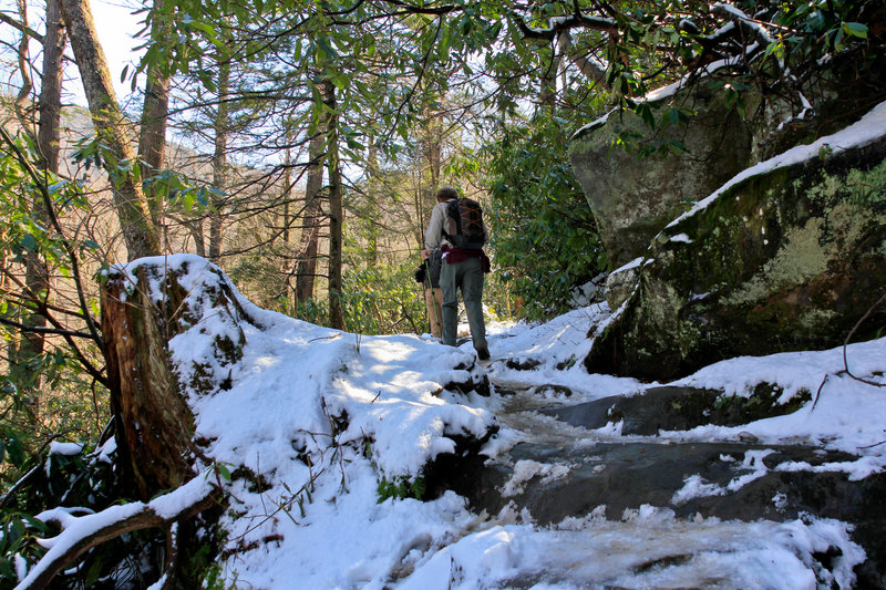 Rainbow Falls Trail