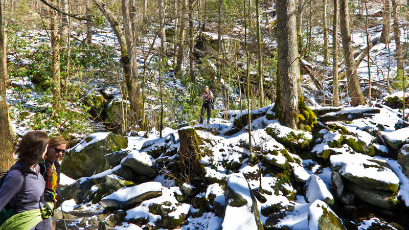 Great Smoky Mountains National Park - Rainbow Falls Trail.