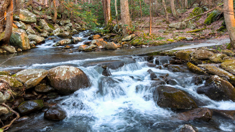 LeConte Creek