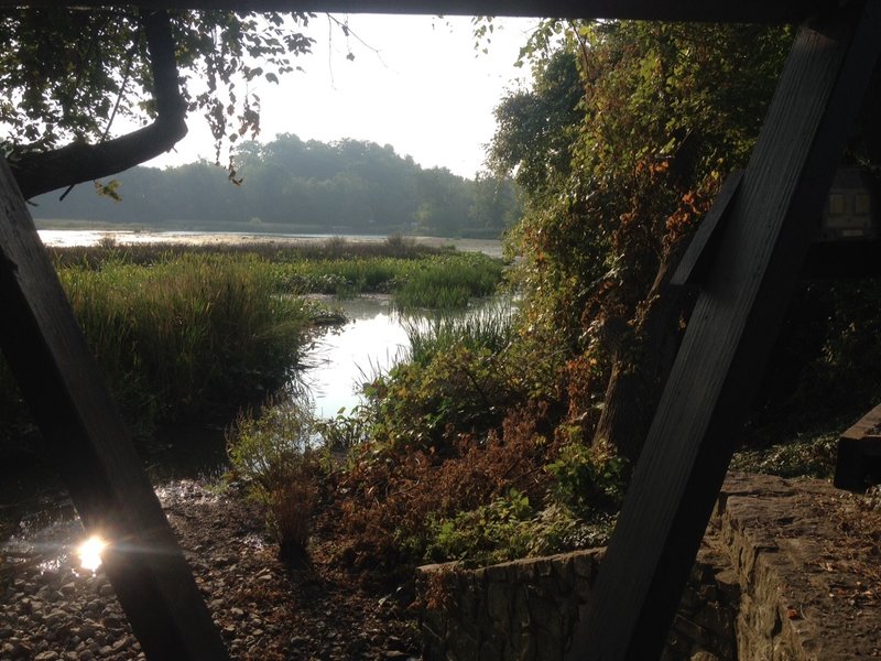 Looking out at Wildwood Lake.