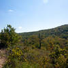 Climbing the hill on the Busiek Purple Trail, looking east.