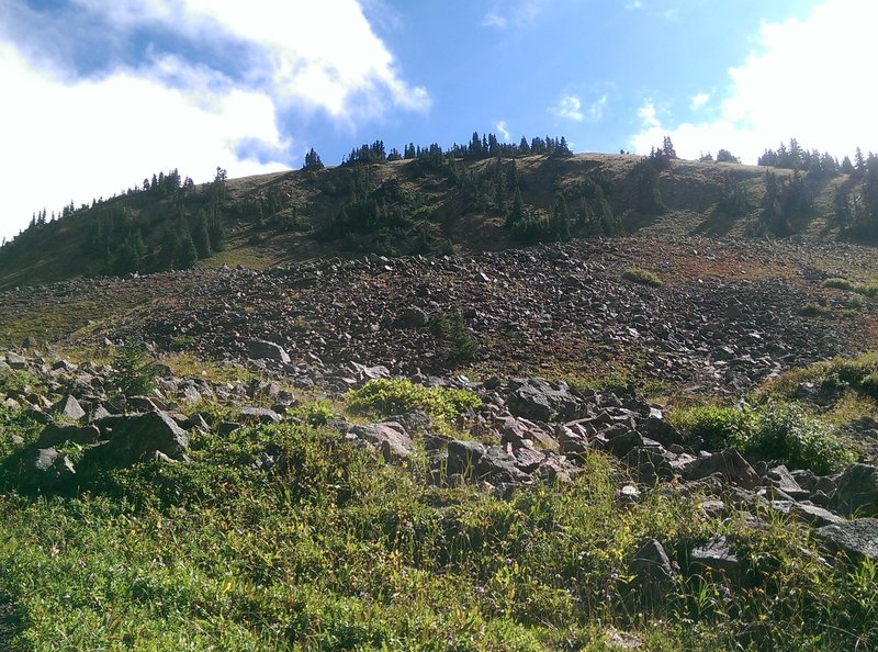 Looking uphill at the expansive scree field