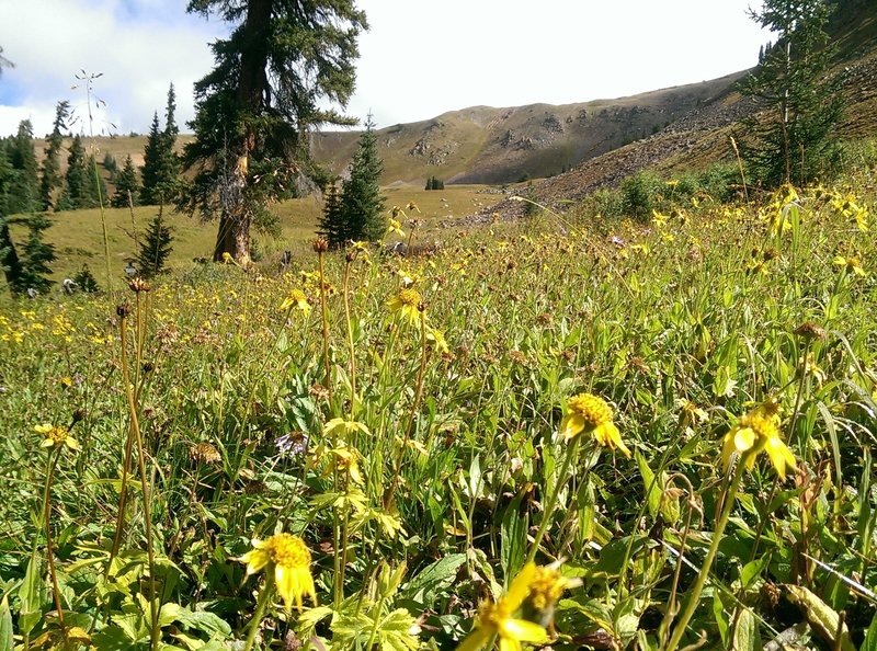 Uneva Peak looms above