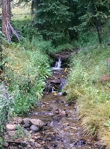 One of the seasonal streams along this route