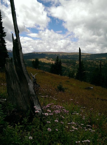 Views south and west towards Shrine Pass.