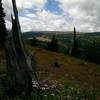 Views south and west towards Shrine Pass.