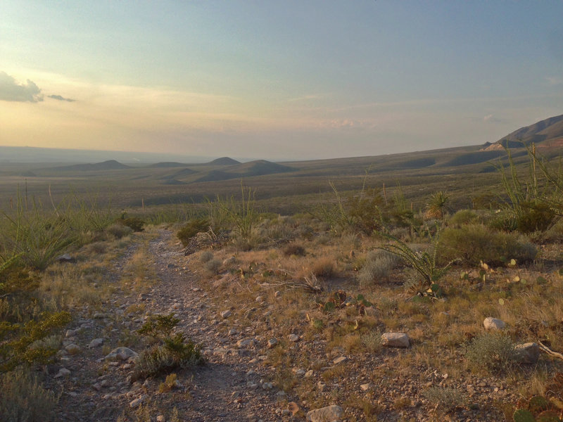 View of the foothills and the Lost Dog area from Thunderbird.