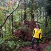 A woman stops to check out the beauty of the Linnton Trail. Behind her is the root system of a fallen Douglas fir.