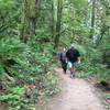 Two people walk up the Cannon Trail, which connects the parking lots of the Wildwood and Leif Erikson trailhead parking lots.