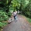 A woman finishes a Leif Erikson walk with her dog. The trail is lined with evidence of old-growth logging as well as standing mid-growth conifers and hardwoods.