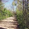 Flat dirt road as featured by much of the southwest portion of the trail.