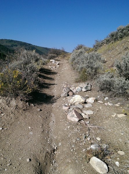 Rocky jumbled start to the Avon Singletree Connector