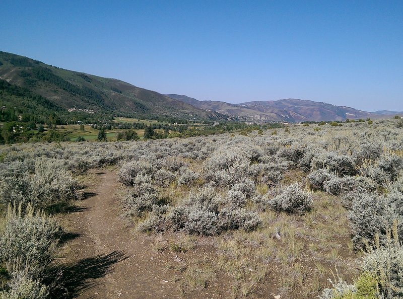 Looking west from Carroll's Cutoff