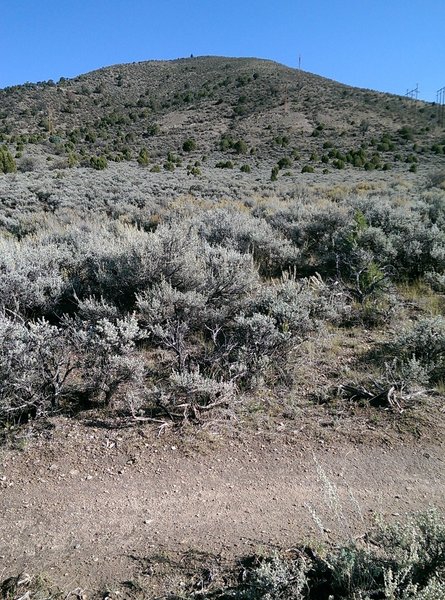 Looking north at the West Avon Preserve's foothills