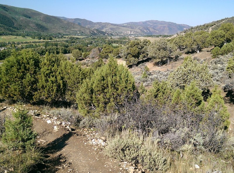 Looking west from a switchback on the Avon to Singletree Connector