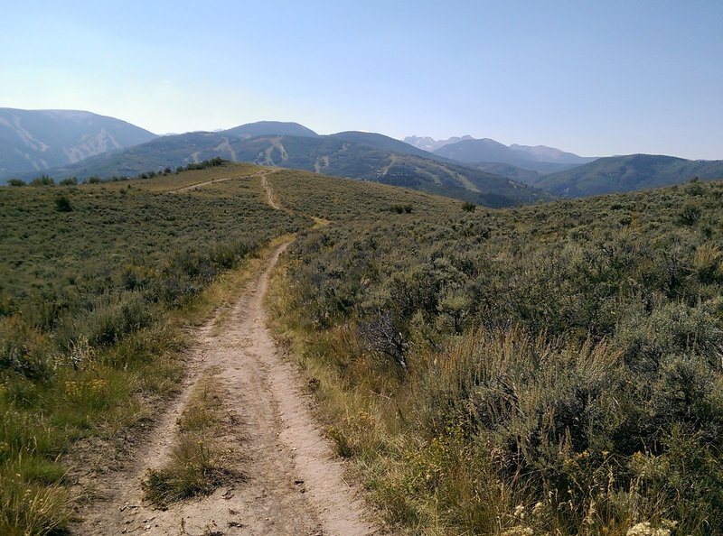 Dry, scrubby terrain predominates in the preserve