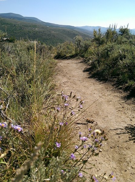 Typical smooth trail conditions on Our Backyard