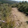 Typical smooth trail conditions on Our Backyard