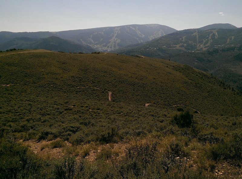 Saddle Ridge Trail snakes down the valley- as seen from Aspen Grove Way