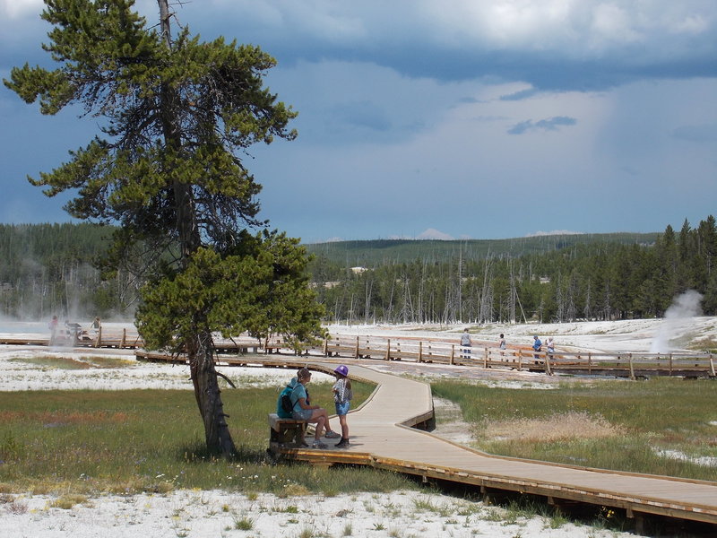 Taking a break from the hot summer sun.