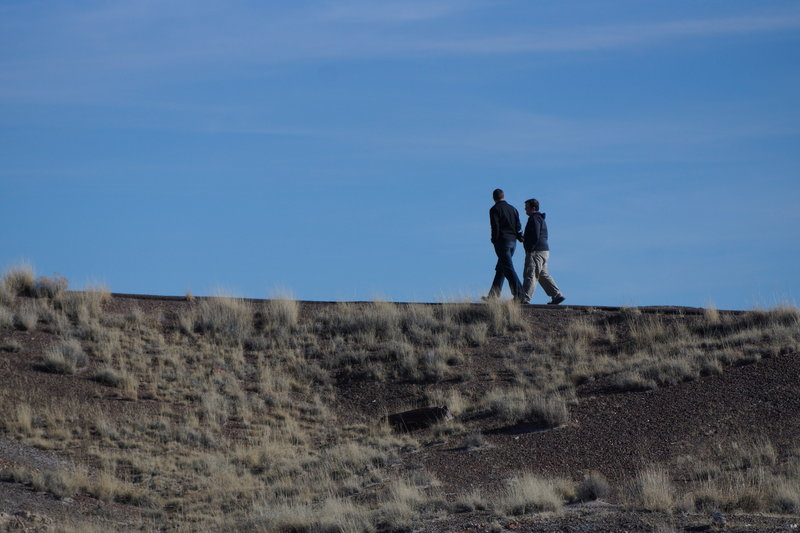 Walking along Crystal Forest Trail