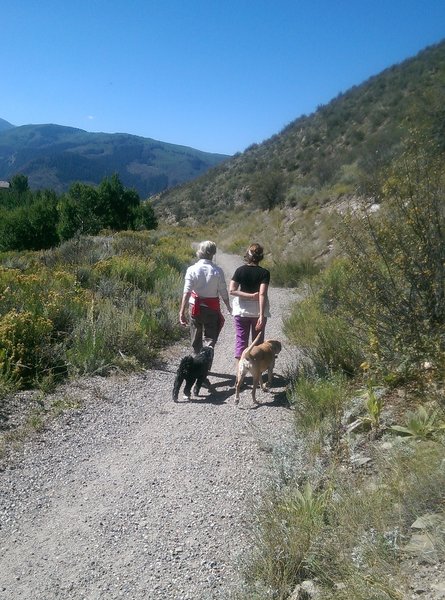 Gentle grades and smooth surface make the June Creek Trail a popular choice