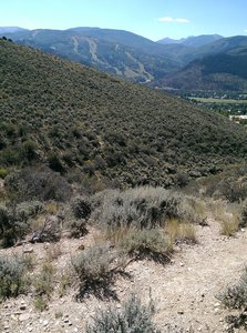 Views of the high peaks emerge from behind the ski areas.