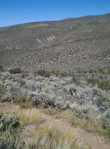 Dirt roads criss-cross the distant hillsides.