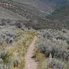 Approaching the junction with an unnamed doubletrack trail.