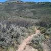 Descending into the June Creek drainage.