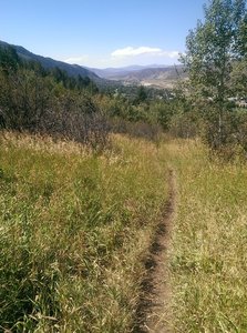 Pretty meadows with aspens line this peaceful trail.
