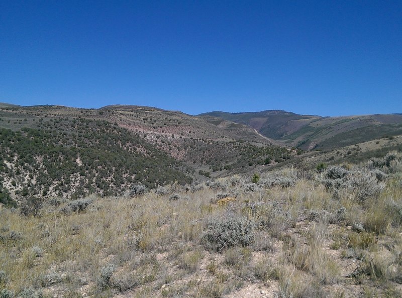 The parched hillsides to the north and the Berry Creek drainage.