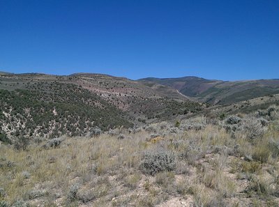 The parched hillsides to the north and the Berry Creek drainage.