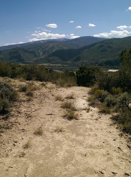 This former doubletrack is being reclaimed by nature.