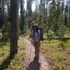 Taking a quick break on Mountain Ash Creek Trail.