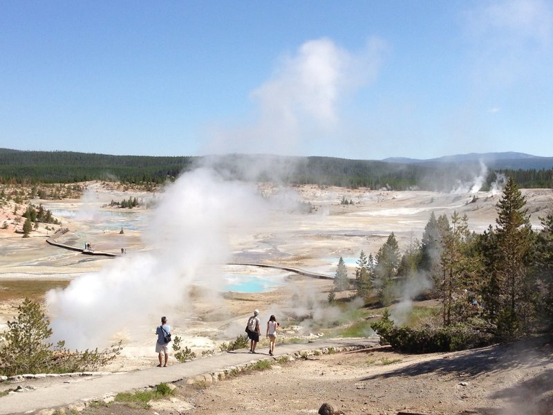 Norris Geyser