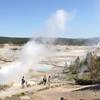 Norris Geyser