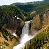 Yellowstone Falls