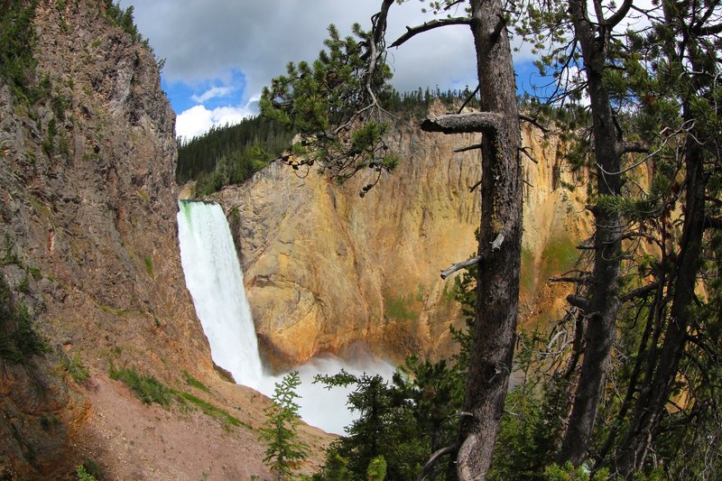 Lower Yellowstone Falls from Uncle Tom's Trail.