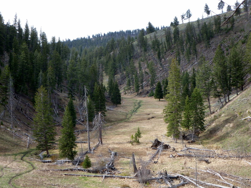 Trail near Petrified Tree