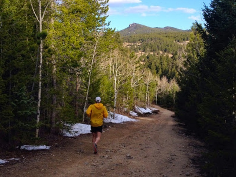 A brief downhill section heading north just before more switchbacks!