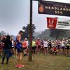 The start of the 2015 Tamalpa Headlands 50k which was also the USATF 50k Trail Championships.