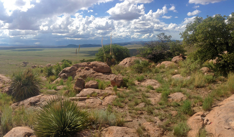 The view from the top of Table Mountain goes for miles. On a clear day, you can see all the way to Mexico.