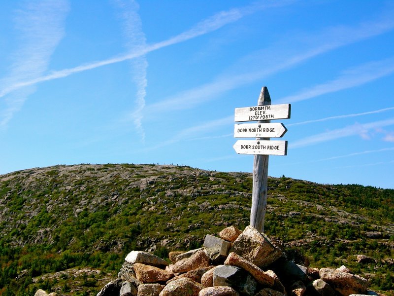 Hike up Dorr Mountain and Cadillac Mountain.